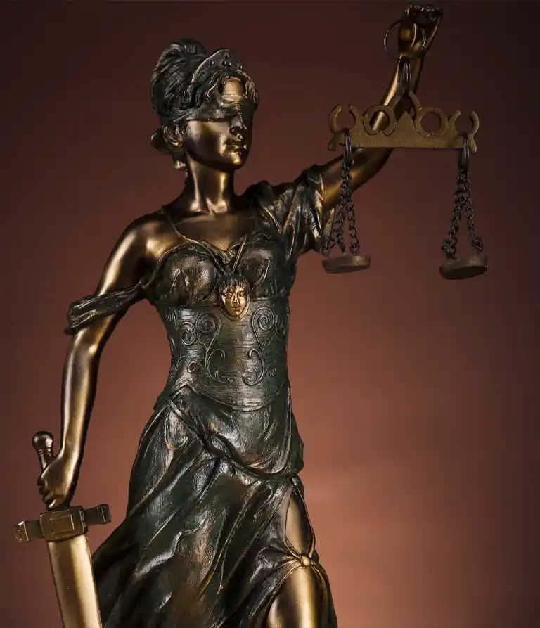 Immigration Attorney